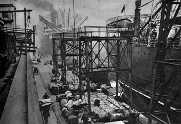 Navi mercantili nel Royal Albert Dock, Londra, 1926-1927
