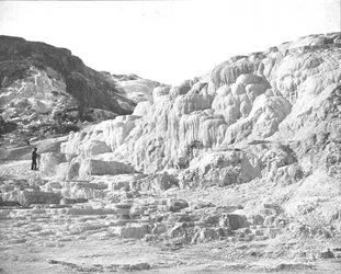 Minerva Terrace, Parco di Yellowstone, USA, c1900