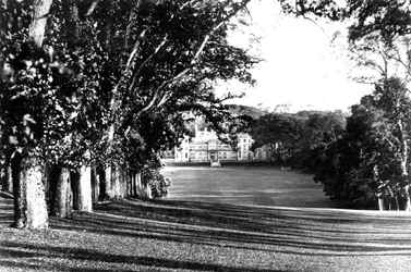 Mount Edgcumbe, c1882