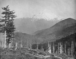 Monte Hood, Oregon, c1897