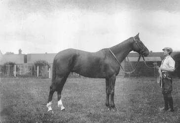 Fortuna del Monte Prospetto, 1911