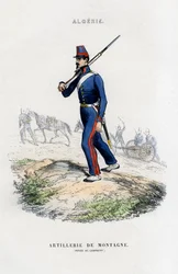 Artiglieria da montagna, Esercito francese in Algeria