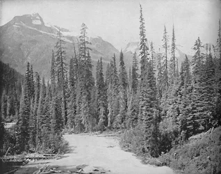 Monti Cheops e Hermit, Catena Selkirk delle Montagne Rocciose, c1897