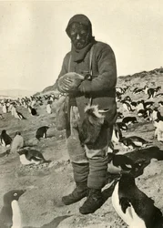 Murray che tiene giovani pinguini, c1908, 1909