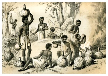 Nativi che fanno Pombe, 1883