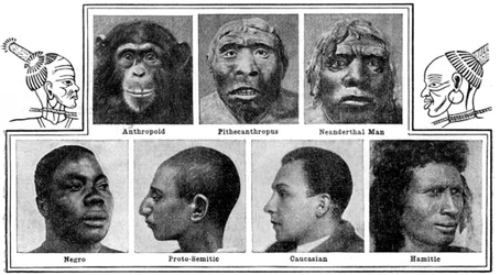 Progetti evolutivi della natura nei nasi, 1922