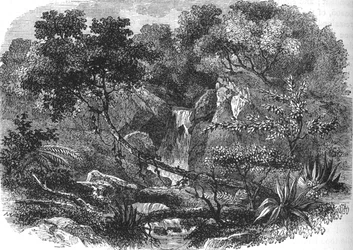 Paesaggio della Nuova Zelanda, c1880