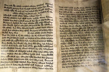 Vecchia Torah