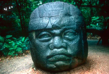 Testa scolpita olmeca da La Venta, Precolombiana, America Centrale, 1150-800 a.C.