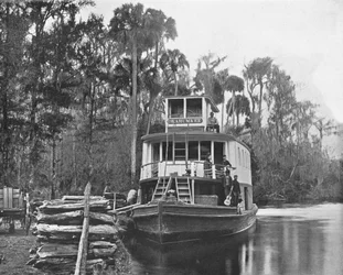 Sul fiume Ocklawaha, Florida, USA