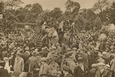 Uno dei segni della nostra civiltà: giardini zoologici ben forniti per deliziare i curiosi, c193