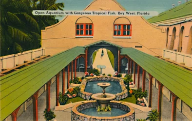 Acquario aperto con pesci tropicali splendidi, Key West, Florida, c1940s