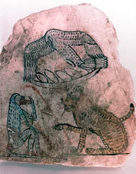 Frammento di ostracon, ghepardo, uccello e scimmia, Egitto
