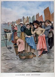 Venditore di ostriche, 1902