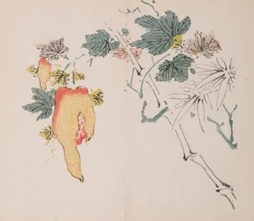 Pagina da Shi Zhu Zhai