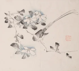 Pagina da Shi Zhu Zhai