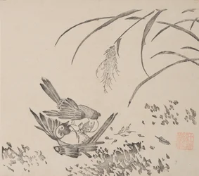 Pagina dallo Shi Zhu Zhai