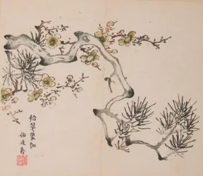 Pagina da Shi Zhu Zhai
