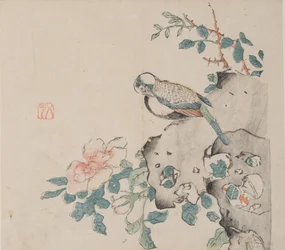 Pagina da Shi Zhu Zhai