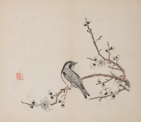 Pagina da Shi Zhu Zhai