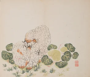 Pagina da Shi Zhu Zhai