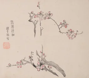 Pagina da Shi Zhu Zhai