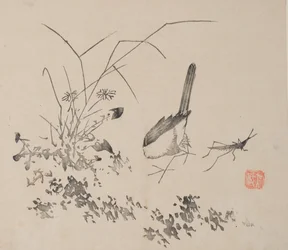 Pagina da Shi Zhu Zhai