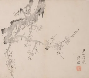 Pagina da Shi Zhu Zhai