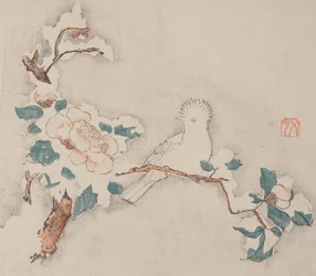 Pagina da Shi Zhu Zhai