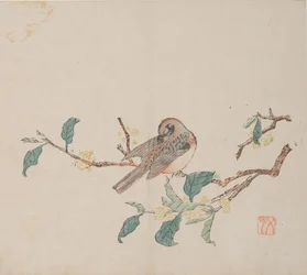 Pagina da Shi Zhu Zhai