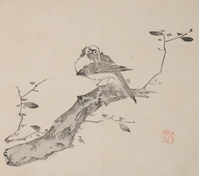 Pagina da Shi Zhu Zhai