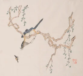 Pagina da Shi Zhu Zhai
