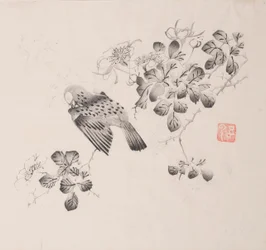 Pagina da Shi Zhu Zhai