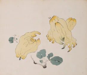 Pagina da Shi Zhu Zhai