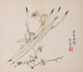 Pagina da Shi Zhu Zhai