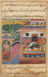 Pagina da Le storie di un pappagallo Tuti-nama: Ottava notte: Il contadino, padre del figlio..., 1558-1560