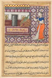 Pagina da Racconti di un pappagallo Tuti-nama: Cinquantesima notte: Il pappagallo si rivolge a Khujasta..., c. 1560