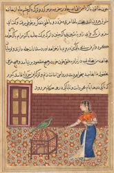 Pagina da Racconti di un pappagallo Tuti-nama: Cinquantunesima notte: Il pappagallo si rivolge a Khujasta..., c. 156