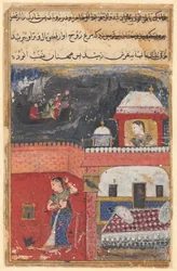 Pagina da Le storie di un pappagallo Tuti-nama: Prima notte: Khujasta uccide il pet myna..., c. 1560