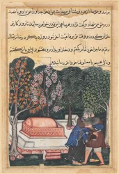 Pagina da Racconti di un pappagallo Tuti-nama: Quarantottesima notte: Il giovane di Baghdad..., c. 1560