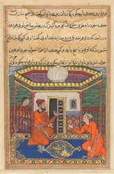 Pagina da Racconti di un pappagallo Tuti-nama: Quarantottesima notte: Il giovane di Baghdad..., c. 1560