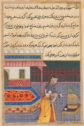 Pagina da Le storie di un pappagallo Tuti-nama: Quarantunesima notte: Il pappagallo si rivolge a Khujasta..., c. 156