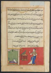 Pagina da Racconti di un pappagallo Tuti-nama: Quarantasettesima notte: Il pappagallo si rivolge a Khujasta..., c156