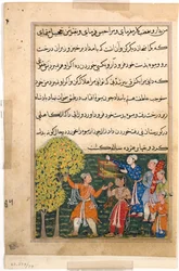 Pagina da Racconti di un pappagallo Tuti-nama: Nona notte: Il re coglie frutti dall