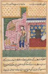 Pagina da Tales of a Parrot Tuti-nama: Diciassettesima notte: Il pappagallo..., c. 1560