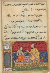 Pagina da Racconti di un pappagallo Tuti-nama: Diciassettesima notte: Il giovane..., c. 1560