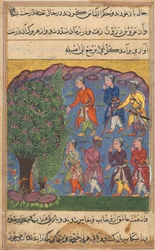 Pagina da Racconti di un pappagallo Tuti-nama: Sesta notte: Sette uomini che disputano il possesso..., c. 1560