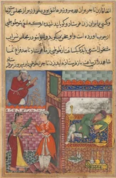 Pagina da Tales of a Parrot Tuti-nama: Decima notte: Il figlio del visir riceve la magia..., c. 156