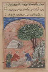 Pagina da Racconti di un pappagallo Tuti-nama: Ventesima notte: I pretendenti prendono..., c. 1560