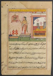 Pagina da Racconti di un pappagallo Tuti-nama: Ventitreesima notte: Il pappagallo parla..., c. 1560